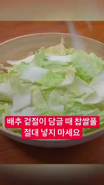 배추 겉절이를 담글 때 찹쌀풀은 절대 넣지 마세요. — 배추 겉절이 담글 때 찹쌀풀 절대 넣지 마세요