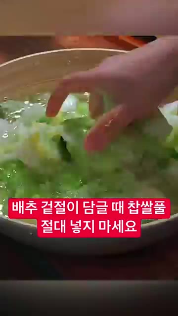 배추를 먹기 좋게 썰어줍니다. — 배추 겉절이 담글 때 찹쌀풀 절대 넣지 마세요