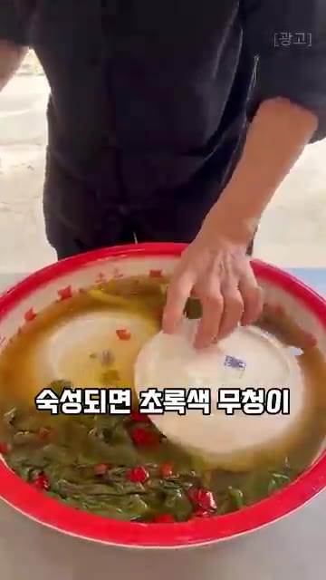 시간이 지나 숙성되면 초록색 무청이 노르스름하게 변합니다. — 무청, 시래기로 말고 이렇게 드셔보세요! 새롭게 먹는 방법