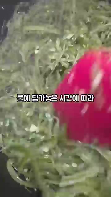 마늘이 노릇하게 익으면 건져낸 미역줄기 800g과 소금 2큰술을 넣… — 미역줄기볶음