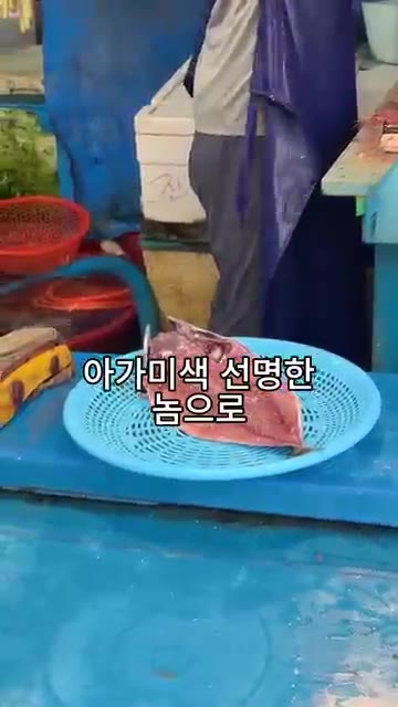 자갈치 시장 사장님께 눈 밝고 아가미색 선명한 고등어를 골라달라고… — 자갈치 사장님이 알려주신 겉바속촉 고등어 구이