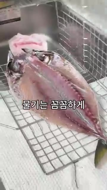 집에 와서 생선에 묻은 물기를 키친타월로 꼼꼼하게 닦아냈다. 이 과… — 자갈치 사장님이 알려주신 겉바속촉 고등어 구이