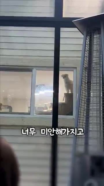 계란을 풀어 얇게 부쳐 계란면을 만든다. — 나같은 언니 없다 진짜