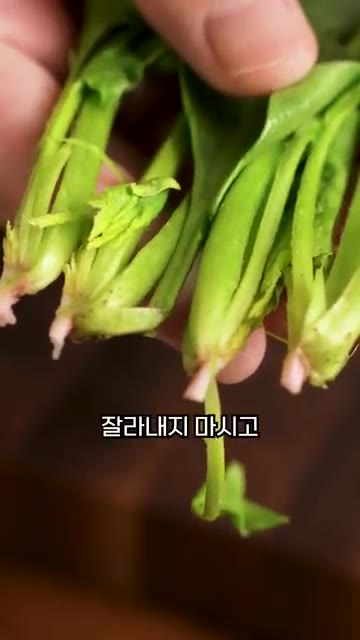 뿌리에 영양소가 많으니 가능하면 잘라내지 마시고 남아있는 흙을 제거… — 간장 넣지 마세요!! 시금치나물 만들기