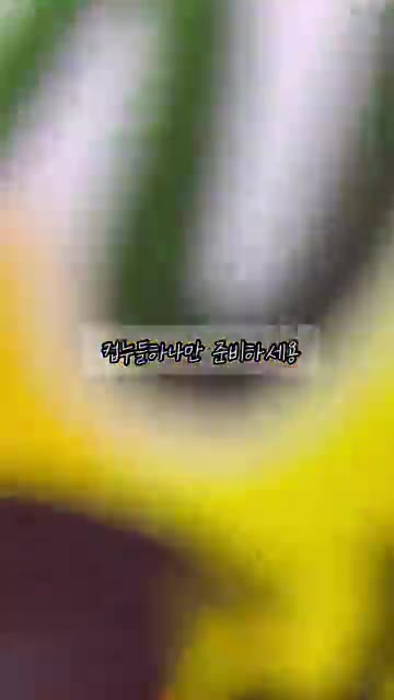 기름에 대파를 노릇하게 볶아줍니다. — 라면 대신 다이어트 해장 추천