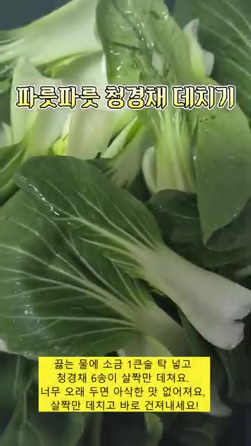 끓는 물에 소금 1큰술을 넣고 청경채 6송이를 살짝만 데쳐 건져냅니다. — 진국 소고기 쌀국수 만들기