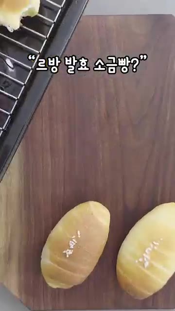 천연발효종 르방으로 소금빵을 발효합니다. — 르방으로 발효한 소금빵 만들기