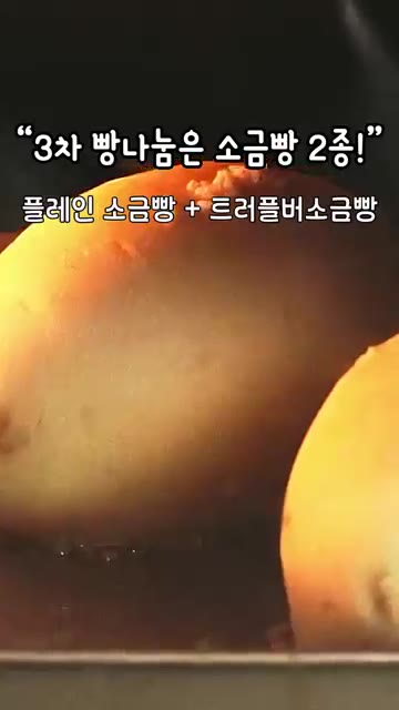 플레인 소금빵과 트러플버섯 소금빵을 굽습니다. — 르방으로 발효한 소금빵 만들기