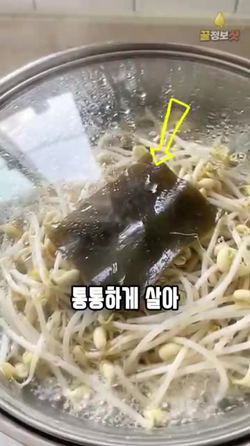 김이 오르기 시작하면 3분 더 익힌 후 불을 끄고, 익는 동안 뚜껑… — 함바집 사장님이 알려준 비린내 없이 아삭한 콩나물 삶는법 🌱