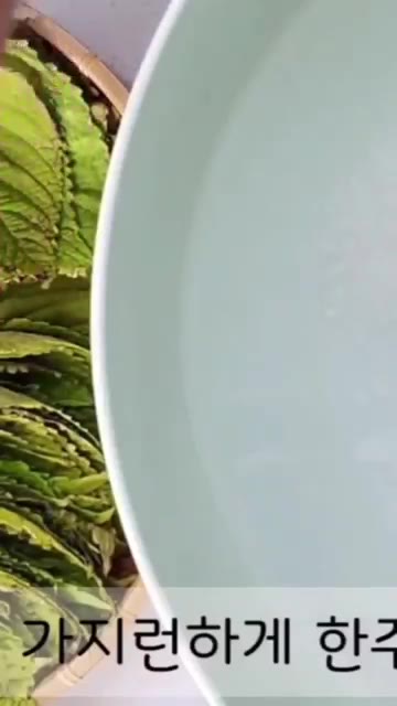 단풍깻잎이 떠오르지 않도록 돌로 눌러 항아리에 담아줍니다. 항아리에… — 가을의 맛! 삭힌 단풍깻잎김치, 손쉽게 담그는 황금비율 깻잎김치
