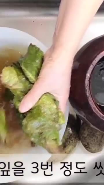 숙성된 깻잎을 3번 정도 헹궈 물기를 짜줍니다. 깻잎의 양에 따라… — 가을의 맛! 삭힌 단풍깻잎김치, 손쉽게 담그는 황금비율 깻잎김치