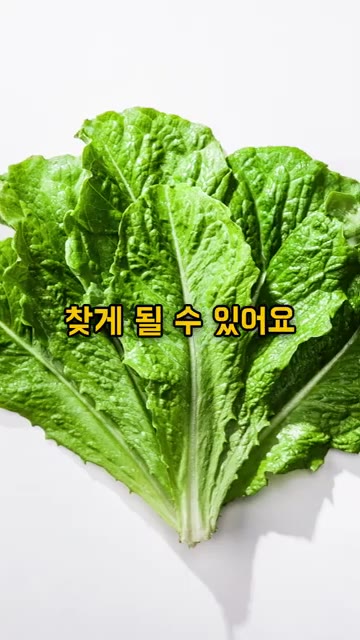 볼에 부침가루 7스푼, 튀김가루 7스푼, 물 200ml를 넣고 잘… — 상추 쌈만 싸드시지 말고 이렇게 드셔보세요
