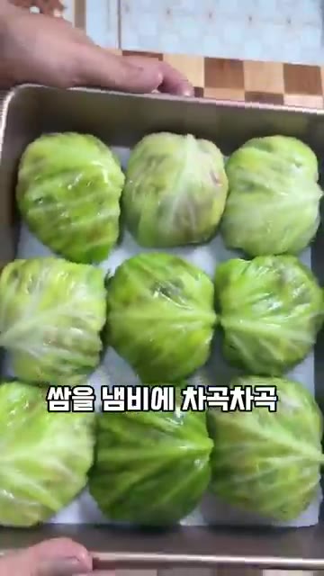 만든 양배추 고기말이를 냄비에 차곡차곡 담아줍니다. — 양배추, 쌈장에만 드셨다면 이렇게 만들어 보세요! 양배추 고기말이(카푸스카 돌마)