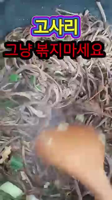 팬에 들기름을 두르고 고사리와 다진 마늘을 넣고 볶아주세요. — 고사리볶음 그냥 볶지 마세요! 이렇게 해야 맛있습니다