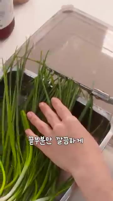 볼에 고춧가루 3T, 까나리액젓 2T, 진간장 1/2T, 매실청 2… — 겉절이보다 쉬운 5분 쪽파김치