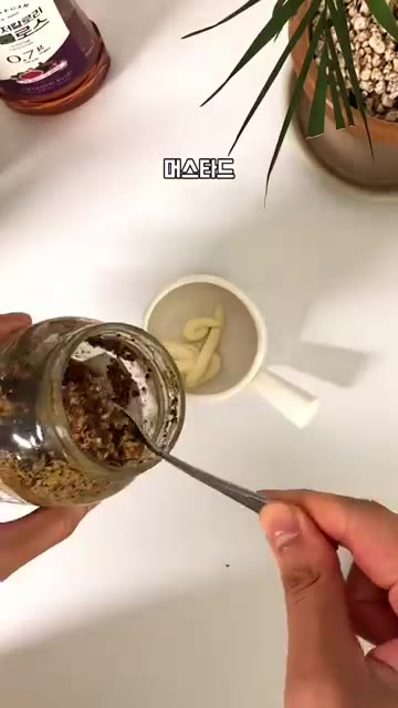 마요네즈, 머스타드, 올리브유, 알룰로스를 섞어 소스를 만듭니다. — 샐러드에 이것 넣었더니 #아침식사대용#아침메뉴#샐러드
