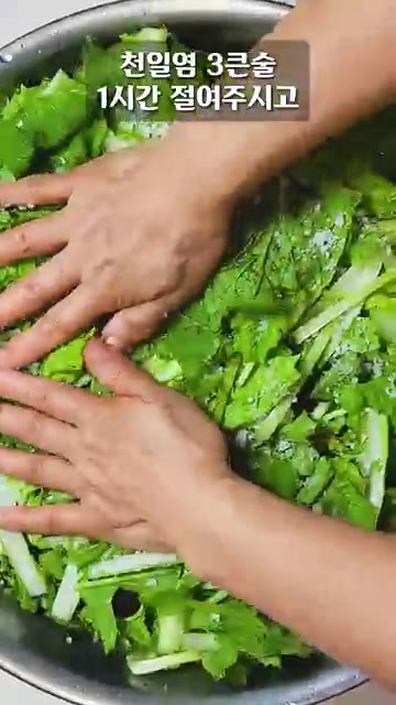열무와 단배추를 깨끗이 씻어 물기를 뺀 후, 천일염 3큰술을 넣고… — 남한테 안 가르쳐주고 싶은 열무김치 레시피!