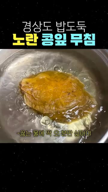 노란 콩잎을 깨끗이 씻어줍니다. — 경상도 밥도둑 노란 콩잎 무침
