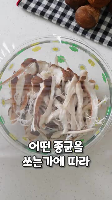 참송이버섯은 젖은 키친타월로 닦아 밑동 끝부분만 잘라내고 결대로 찢… — 참송이 버섯 들깨 무침 레시피