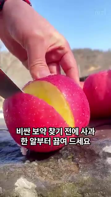 사과를 깍둑썰기 합니다. — 비싼 보약 찾기 전에 사과 한 알부터 끓여 드세요