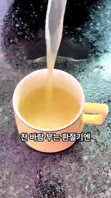 사과와 대추를 함께 끓여 사과 대추차를 만듭니다. 이 차는 기운이… — 비싼 보약 찾기 전에 사과 한 알부터 끓여 드세요