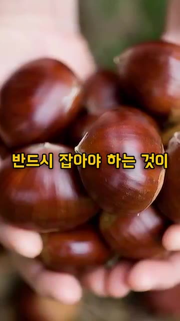 소금물 위로 떠오르는 밤은 골라내고, 상태가 좋은 밤만 남깁니다. — 가을 밤, 오래 보관하는 방법