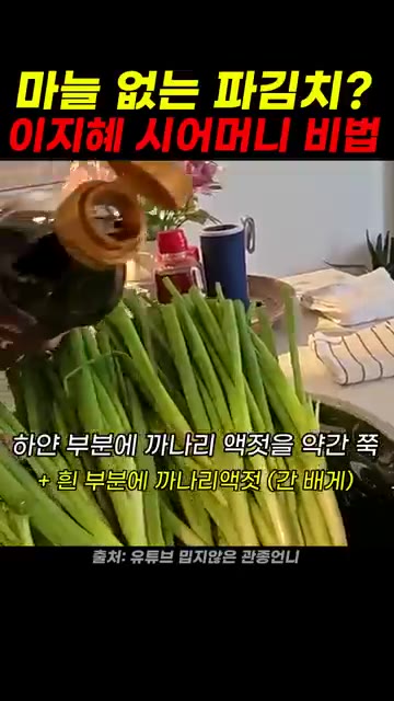 볼에 종이컵 반 컵 정도의 까나리 액젓을 붓는다. — 마늘 없는 파김치 이지혜 시어머니 비법
