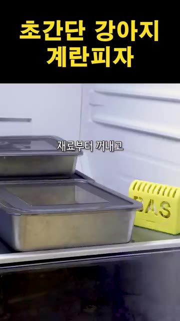 냉장고에서 재료를 꺼내 준비한다. 청경채는 깨끗이 씻어 물기를 뺀다. — 초간단 강아지 계란피자 만들기