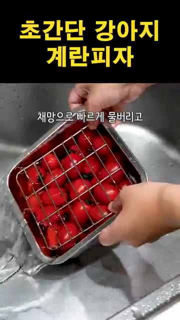 방울토마토를 씻어 물기를 빼고, 청경채도 물기를 제거한다. — 초간단 강아지 계란피자 만들기