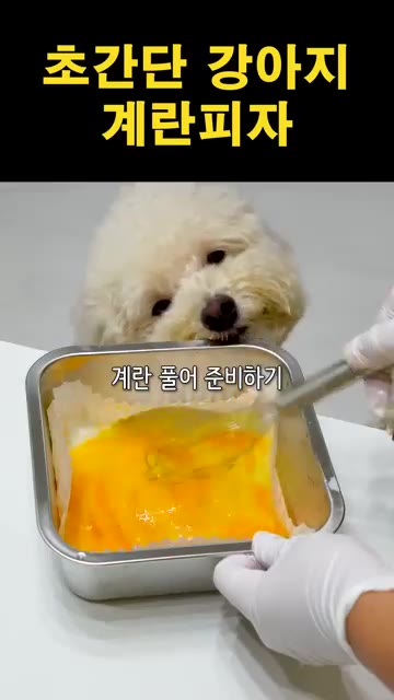 계란 3개를 깨뜨려 넣고 잘 풀어 준비한다. — 초간단 강아지 계란피자 만들기
