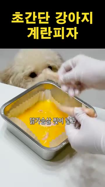 준비된 계란물에 찢어 놓은 닭가슴살과 잘라 놓은 방울토마토, 청경채… — 초간단 강아지 계란피자 만들기