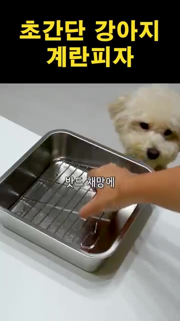 에어프라이어나 오븐에 넣고 170도에서 40분간 굽는다. — 초간단 강아지 계란피자 만들기