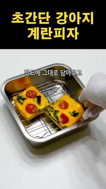 완성된 계란피자를 접시에 담아 보관한다. — 초간단 강아지 계란피자 만들기