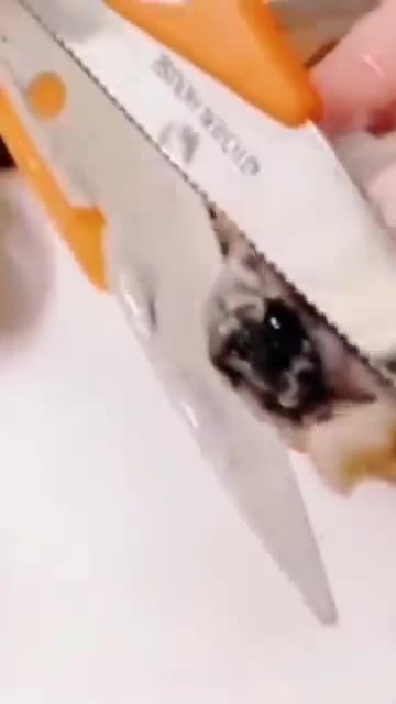 사선으로 칼집을 내주세요. — 전복 버터구이 레시피