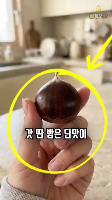 밤을 씻지 않고 물기를 닦아 그늘에서 말린다. — 햇밤 그냥 삶지 마세요 🌰 공주 밤농장 사장님의 꿀처럼 달아지는 밤 삶는법