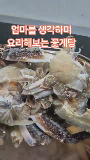 손질한 꽃게를 넣고 끓인다. — 엄마 생각하며 요리하는 꽃게탕