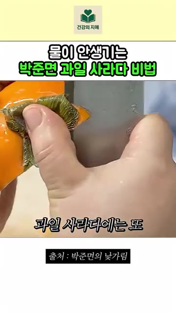 사과를 먹기 좋은 크기로 썰어주세요. — 물이 안생긴다는 박준면 과일 사라다 레시피