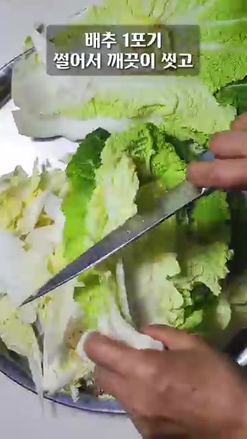 배추 1포기를 큼직하게 썰어 씻은 후 천일염을 뿌려 1시간 동안 절… — 배추겉절이 이렇게 무치면 밥 두 그릇 뚝딱입니다!