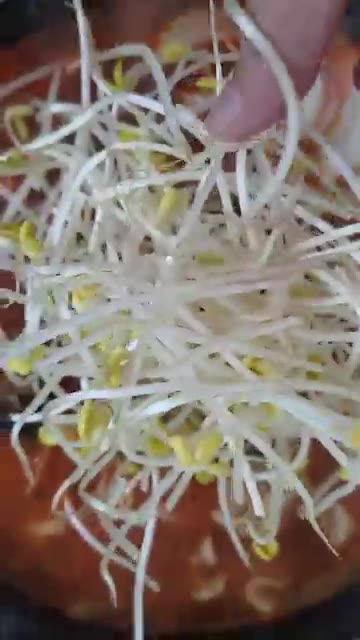 콩나물을 넣고 한소끔 더 끓입니다. — 실패 없는 동태탕 레시피