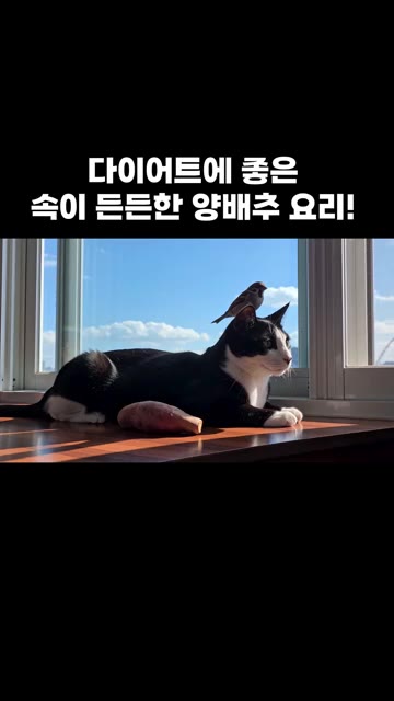 고구마 껍질을 벗기고 채 썰어 물에 5분간 담가 전분을 제거한 후… — 다이어트에 좋은 속이 든든한 양배추 요리!