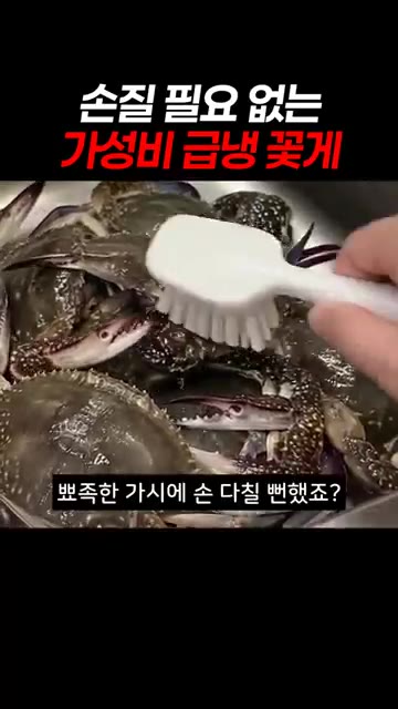 꽃게를 솔로 문질러 깨끗하게 씻어줍니다. — 손질 필요 없는 가성비 급냉 꽃게