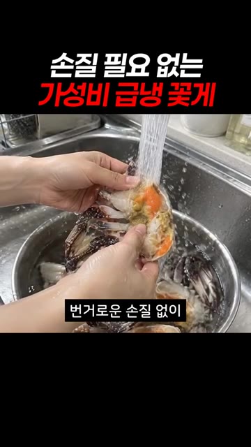 번거로운 손질 없이 흐르는 물에 가볍게 헹궈 냄비에 넣어줍니다. — 손질 필요 없는 가성비 급냉 꽃게