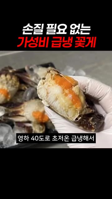 영하 40도로 급냉하여 알과 속살이 꽉 찬 신선한 꽃게입니다. — 손질 필요 없는 가성비 급냉 꽃게