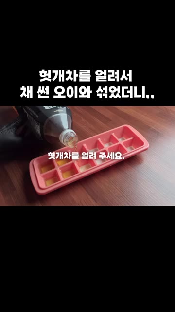 얼음틀에 헛개차를 부어 얼려주세요. — 헛개차를 얼려서 채 썬 오이와 섞었더니,,,