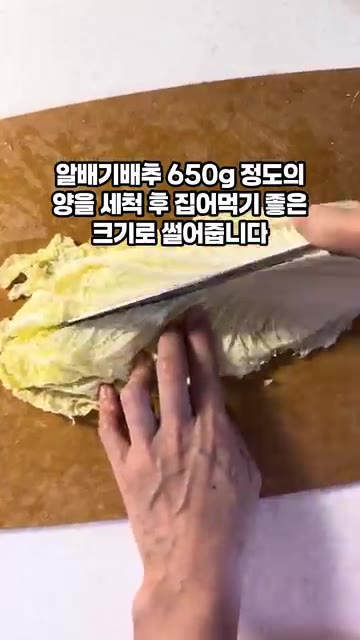 알배기배추 650g 정도를 깨끗이 씻어 먹기 좋은 크기로 썰어줍니다. — 간단 배추겉절이 만들기
