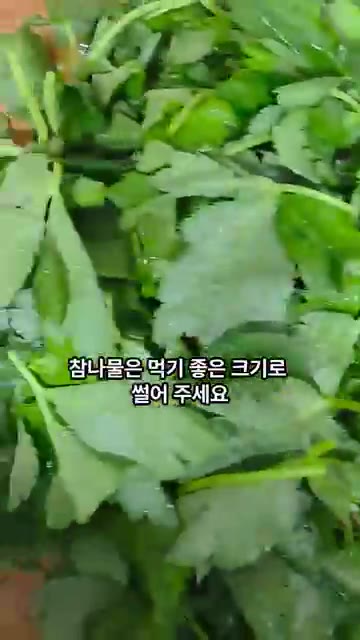 사과는 얇게 채 썰어 준비합니다. — 이 조합 진짜 미쳤어요. 참나물사과샐러드!