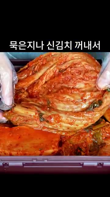 냄비에 묵은지를 깔고 앞다리살 500g을 올립니다. — 초간단 밥도둑 앞다리살 김치찜