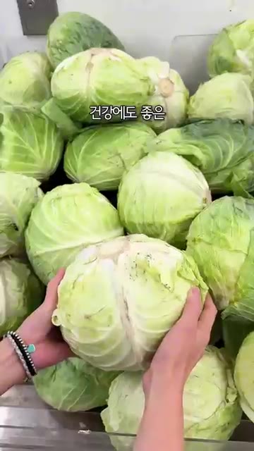 양배추 한 통을 사서 다 먹지 못하고 버리는 경우가 많은데, 이 레… — 무생채 뺨치는 양생채비빔밥!! #레시피 #오늘도요리 #cooking