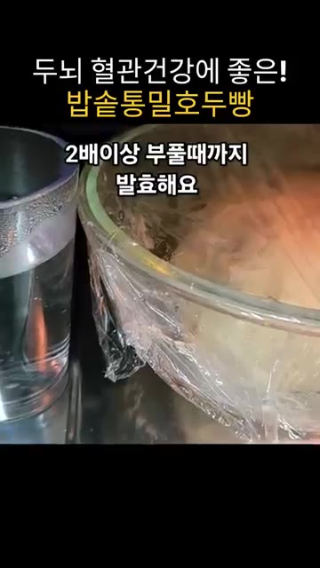 20분 뒤 손에 물을 묻히고 반죽을 90도 돌려 접는 과정을 6번… — 밥솥으로 만드는 통밀 호두빵 레시피