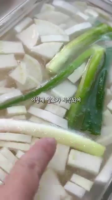 뚜껑을 닫고 상온에서 하루 동안 숙성시킨다. 기포가 올라오고 무가… — 천연소화제 동치미 1등 레시피